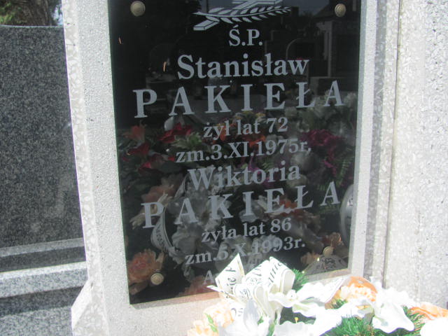 Zygmunt Terciak 1929 Ostrów Mazowiecka - Grobonet - Wyszukiwarka osób pochowanych