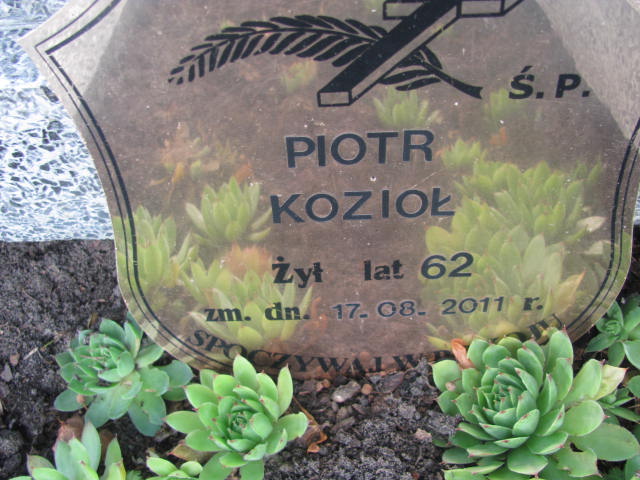 Stanisława Kozioł 1914 Ostrów Mazowiecka - Grobonet - Wyszukiwarka osób pochowanych