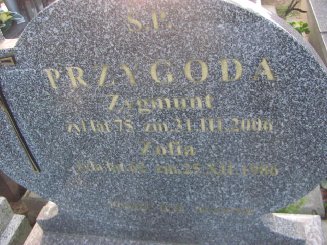 Zygmunt Przygoda 1931 Ostrów Mazowiecka - Grobonet - Wyszukiwarka osób pochowanych