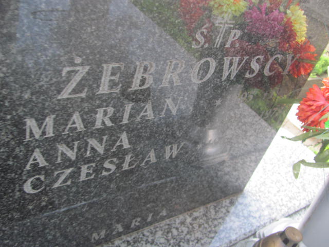 Marian Żebrowski 1894 Ostrów Mazowiecka - Grobonet - Wyszukiwarka osób pochowanych