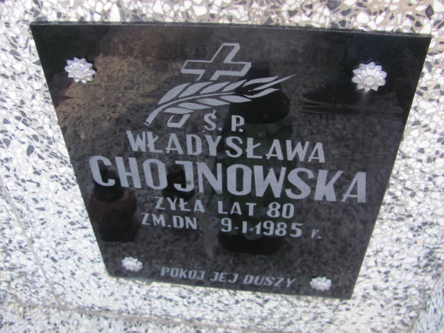Władysława Chojnowska Ostrów Mazowiecka - Grobonet - Wyszukiwarka osób pochowanych