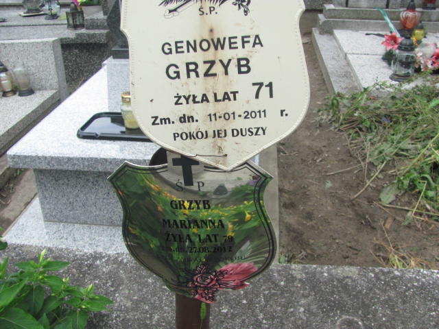 Genowefa Grzyb Ostrów Mazowiecka - Grobonet - Wyszukiwarka osób pochowanych