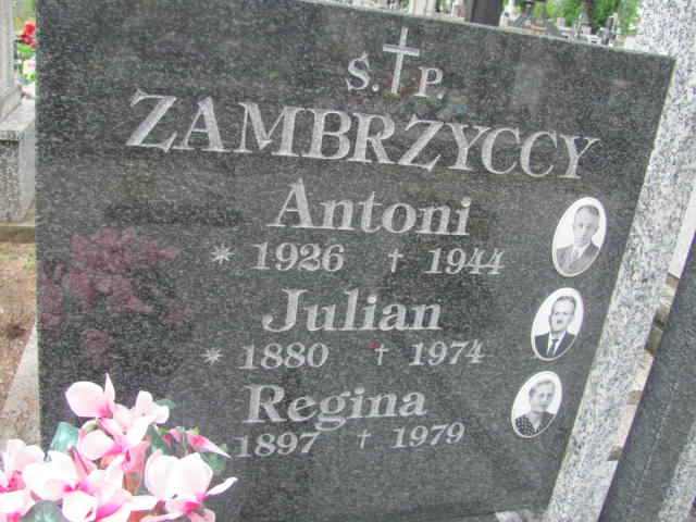 Julian Zambrzycki 1880 Ostrów Mazowiecka - Grobonet - Wyszukiwarka osób pochowanych