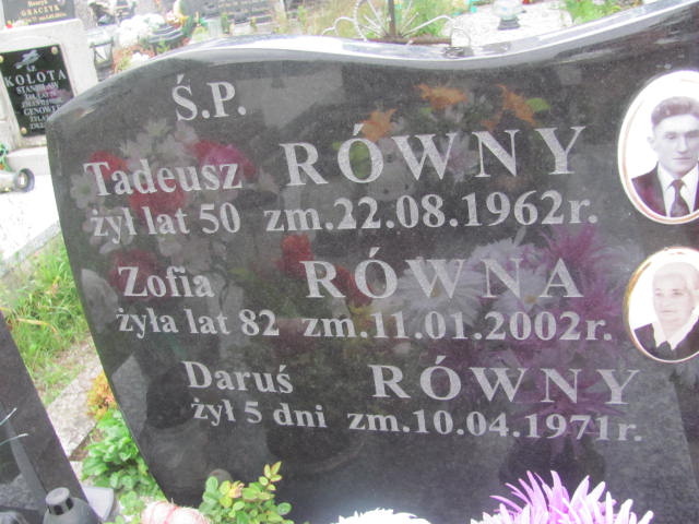 Zofia Równa 1919 Ostrów Mazowiecka - Grobonet - Wyszukiwarka osób pochowanych