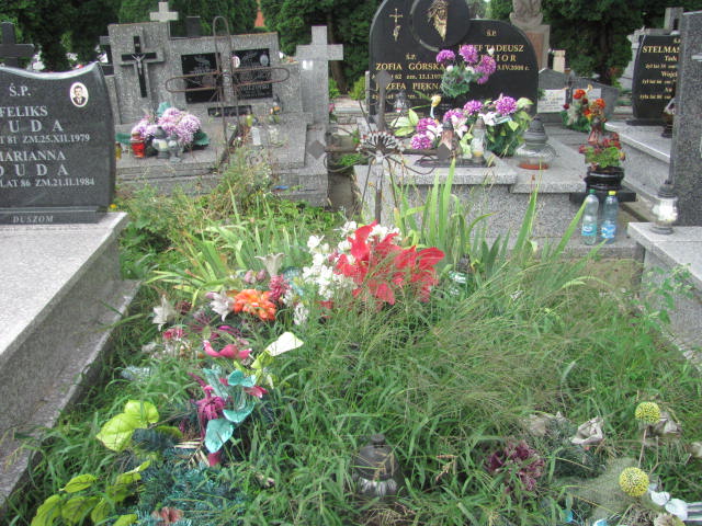 Witold Czesław Świderek 1942 Ostrów Mazowiecka - Grobonet - Wyszukiwarka osób pochowanych