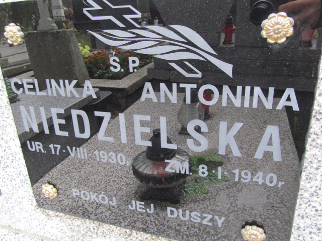 Celina Antonina Niedzielska 1930 Ostrów Mazowiecka - Grobonet - Wyszukiwarka osób pochowanych