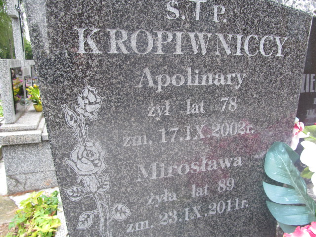 Apolinary Kropiwnicki 1924 Ostrów Mazowiecka - Grobonet - Wyszukiwarka osób pochowanych