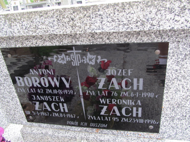 Janusz Żach 1967 Ostrów Mazowiecka - Grobonet - Wyszukiwarka osób pochowanych