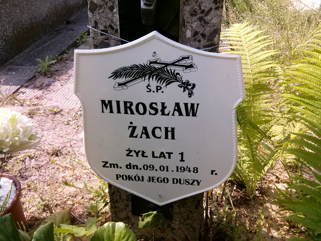 Mirosław Żach 1947 Ostrów Mazowiecka - Grobonet - Wyszukiwarka osób pochowanych