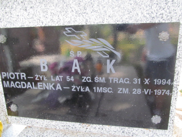 Piotr Bąk 1940 Ostrów Mazowiecka - Grobonet - Wyszukiwarka osób pochowanych