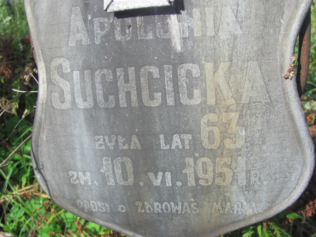 Apolonia Suchcicka Ostrów Mazowiecka - Grobonet - Wyszukiwarka osób pochowanych
