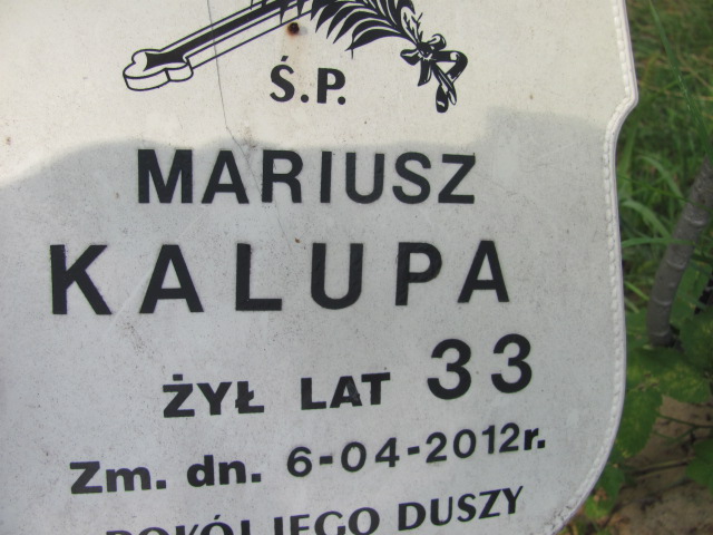 Mariusz Kalupa Ostrów Mazowiecka - Grobonet - Wyszukiwarka osób pochowanych