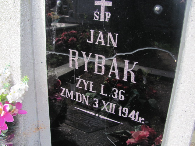 Aleksandra Zadrożna Ostrów Mazowiecka - Grobonet - Wyszukiwarka osób pochowanych