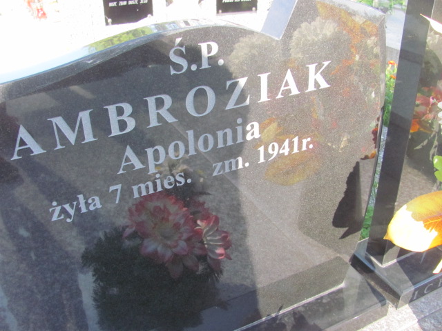 Franciszka Mścichowska 1905 Ostrów Mazowiecka - Grobonet - Wyszukiwarka osób pochowanych