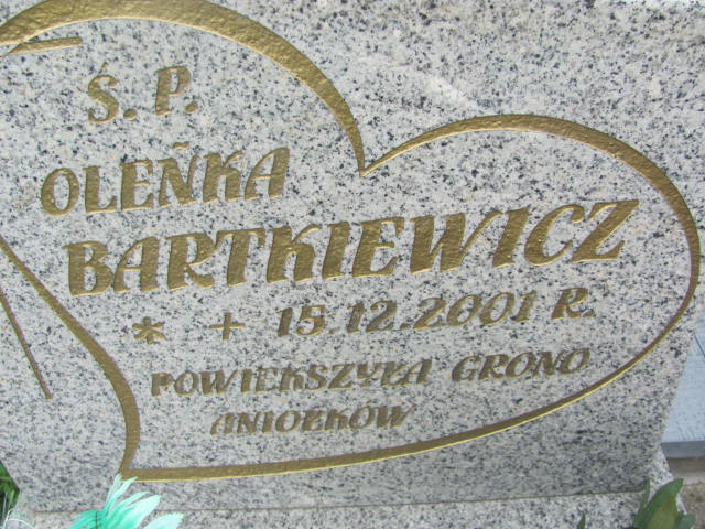 Aleksandra Bartkiewicz 2001 Ostrów Mazowiecka - Grobonet - Wyszukiwarka osób pochowanych
