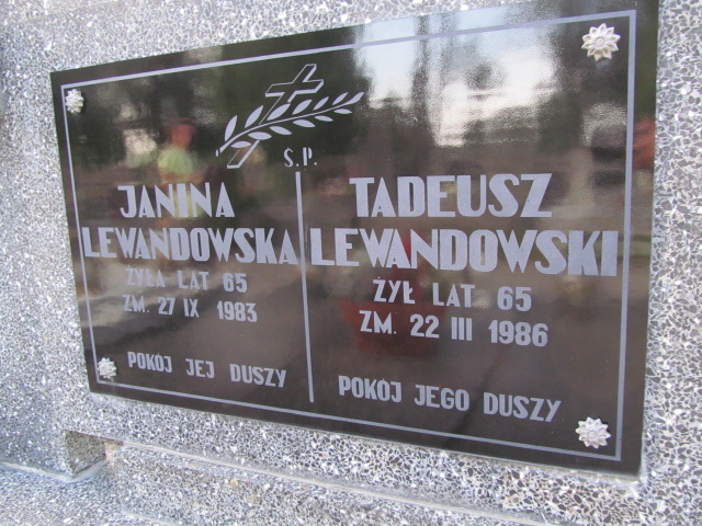 Tadeusz Lewandowski 1921 Ostrów Mazowiecka - Grobonet - Wyszukiwarka osób pochowanych