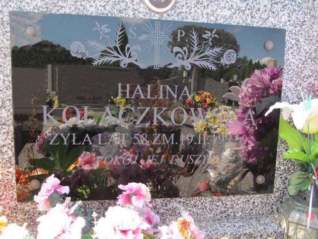 Andrzej Kołaczkowski Ostrów Mazowiecka - Grobonet - Wyszukiwarka osób pochowanych