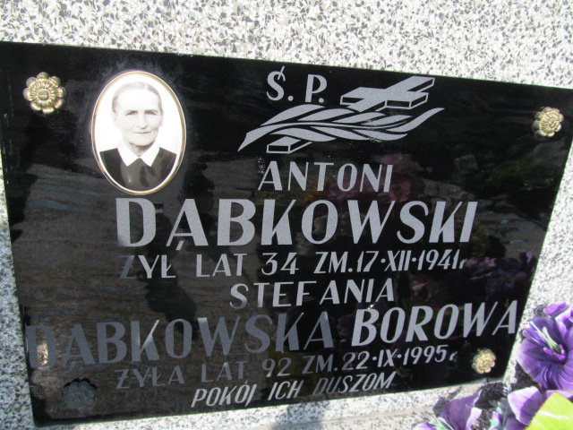 Antoni Dąbkowski Ostrów Mazowiecka - Grobonet - Wyszukiwarka osób pochowanych